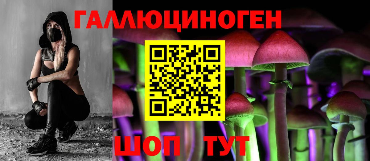 Псилоцибиновые грибы Magic Shrooms Алатырь