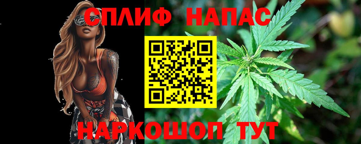 Канабис индика Алатырь